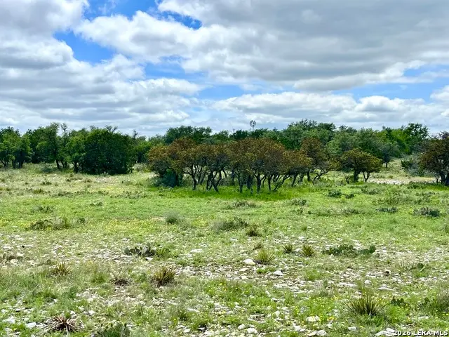 221 Turkey Run, Eldorado, TX 76936 - #1