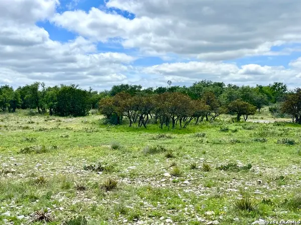 221 Turkey Run, Eldorado, TX 76936