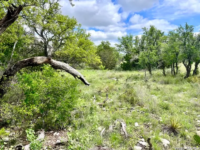 221 Turkey Run, Eldorado, TX 76936 - #3