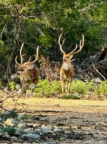 TBD Rm 334, Brackettville, TX 78832