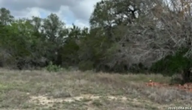 183 Fossil, Spring Branch, TX 78070 - #3