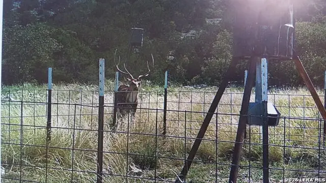 2190 Cr 650, Rocksprings, TX 78880 - #1