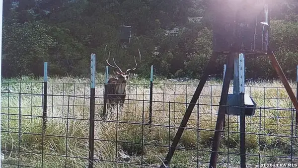 2190 Cr 650, Rocksprings, TX 78880