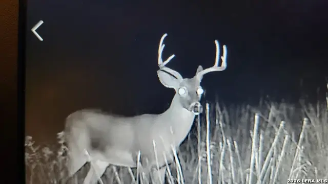 2190 Cr 650, Rocksprings, TX 78880 - #2