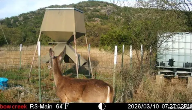 2190 Cr 650, Rocksprings, TX 78880 - #3