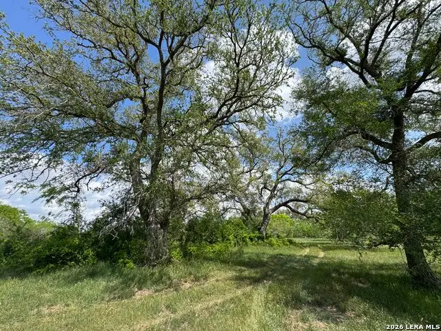 1110 Hartfield Road, Seguin, TX 78155 - #2