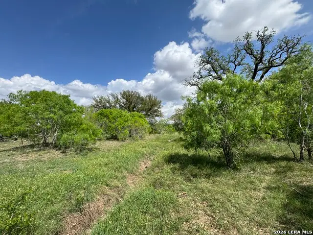 1110 Hartfield Road, Seguin, TX 78155 - #3
