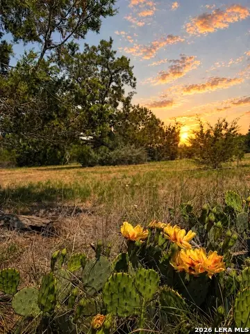 174 Waterman Ln, Pipe Creek, TX 78063