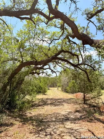 174 Waterman Ln, Pipe Creek, TX 78063 - #3