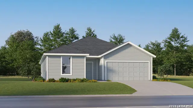 1914 Black Stork, New Braunfels, TX 78130 - #2