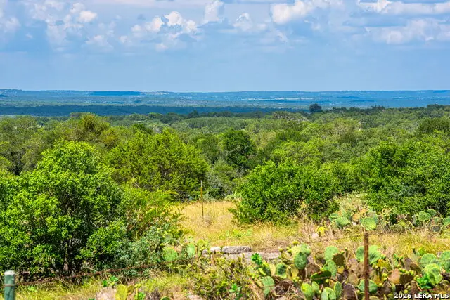 853 Elm Ridge Rd, Fredericksburg, TX 78624 - #2
