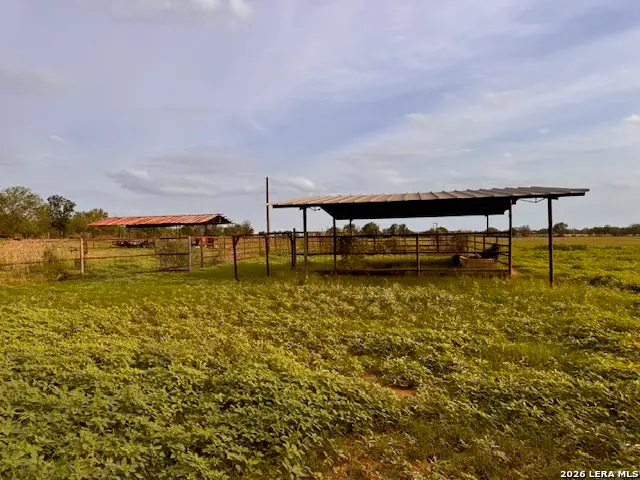 1115 County Road 669, Devine, TX 78016 - #3