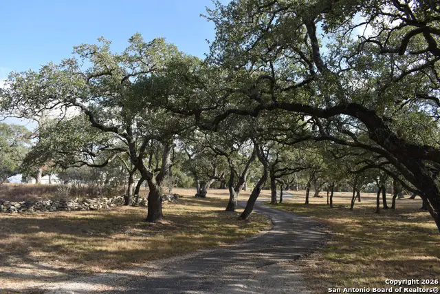 32010 Oak Ridge Pkwy, Bulverde, TX 78163 - #3