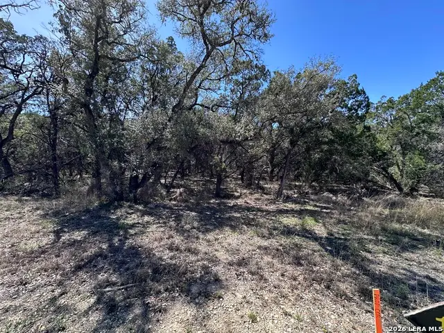 210 Tremaine, San Antonio, TX 78230 - #1