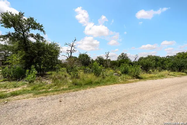 211 Spring Rd, Fredericksburg, TX 78624 - #2