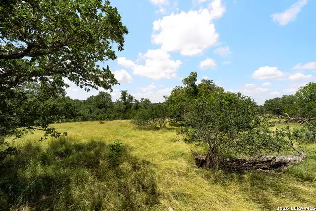 211 Spring Rd, Fredericksburg, TX 78624 - #3