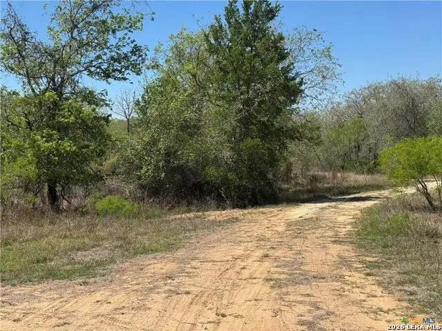 00 Dowdy, Kingsbury, TX 78638 - #1