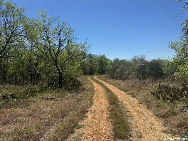 00 Dowdy, Kingsbury, TX 78638 - #2
