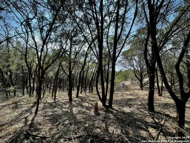 000 Red Byrd Lane, Pipe Creek, TX 78063 - #2