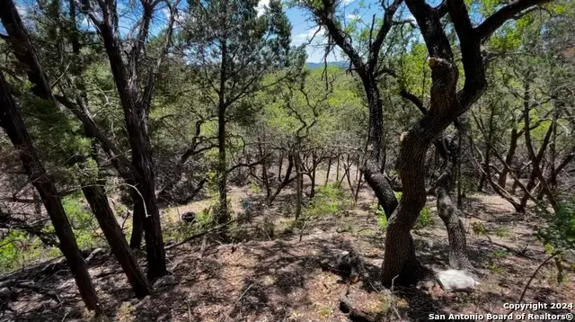 000 Red Byrd Lane, Pipe Creek, TX 78063 - #3