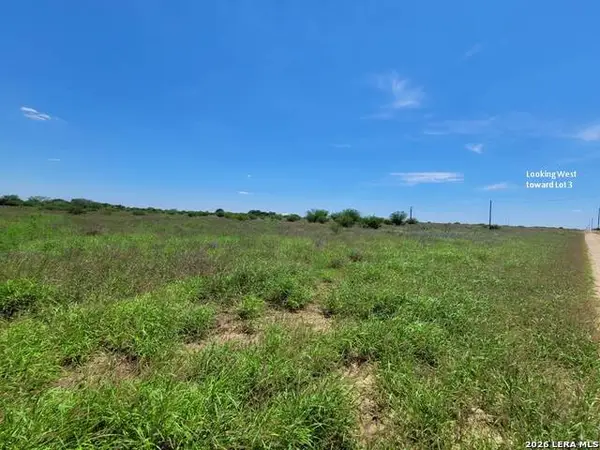 277 Joy Ln, Pleasanton, TX 78064