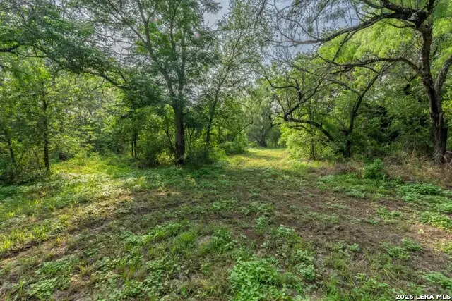 224 County Road 662, Devine, TX 78016 - #2