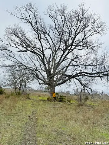 405 County Road 96, Purmela, TX 76566 - #3