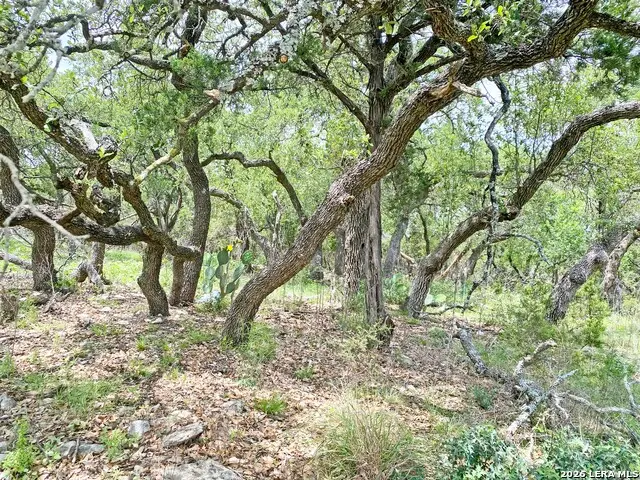 25726 Echo Mtn, San Antonio, TX 78260 - #1