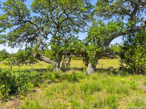 163 N Stallion Estates Drive, Spring Branch, TX 78070