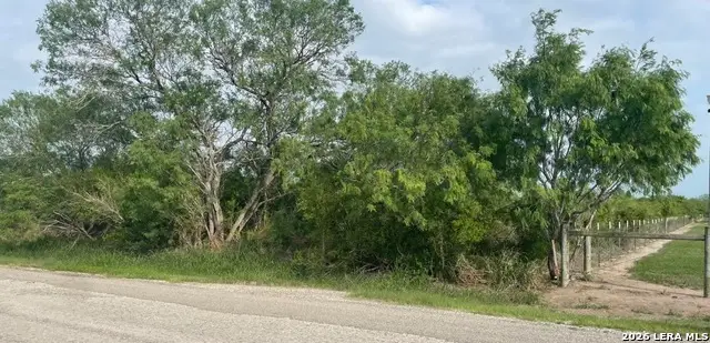 00 Cr 613, Skidmore, TX 78389 - #1