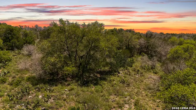 189 Morning View Dr, New Braunfels, TX 78132 - #2