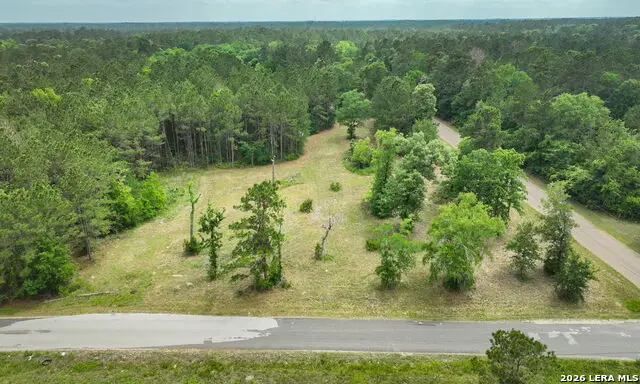5914 Carter, Waller, TX 77484 - #1