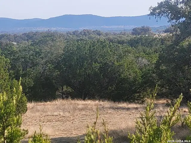 LOT 20 County Road 357b, Utopia, TX 78884 - #3