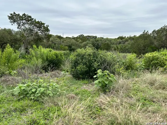 3726 Summer Breeze Ln, San Antonio, TX 78253 - #3