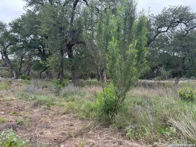 1464 Stahlman Way, New Braunfels, TX 78132 - #1