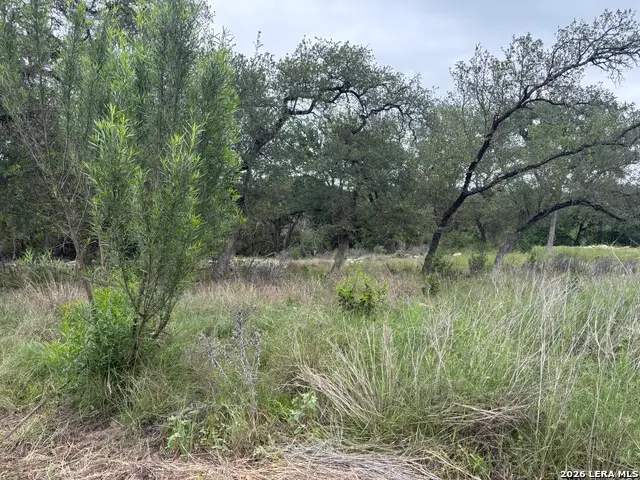 1464 Stahlman Way, New Braunfels, TX 78132 - #2