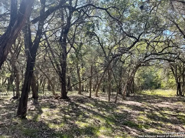 420 Spring St, Spring Branch, TX 78070 - #2