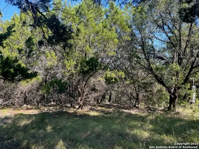 420 Spring St, Spring Branch, TX 78070 - #3