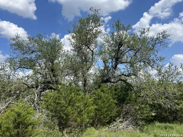 636 Rock Trail Pl, Spring Branch, TX 78070