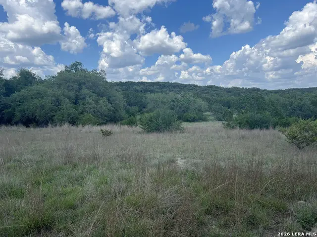 636 Rock Trail Pl, Spring Branch, TX 78070 - #3