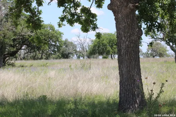132 Pack Saddle Ln, Fredericksburg, TX 78624