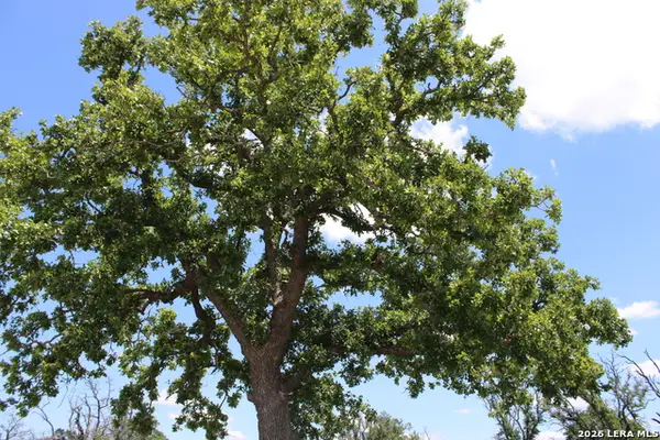 135 Pack Saddle Ln, Fredericksburg, TX 78624