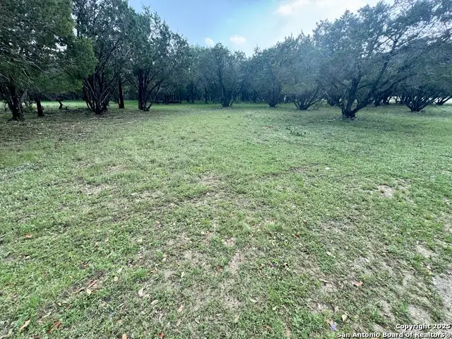 1160 Whispering Water, Spring Branch, TX 78070 - #1