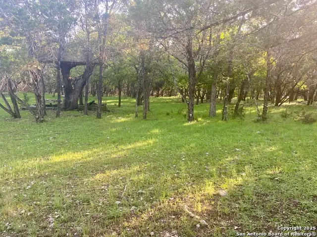 1160 Whispering Water, Spring Branch, TX 78070 - #2
