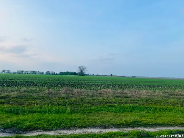 0 Lower Seguin, Marion, TX 78124 - #2