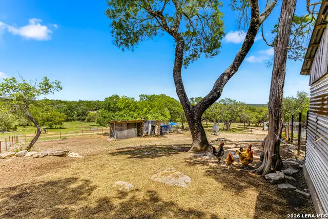 975 Flying R Ranch Rd E, Spring Branch, TX 78070 - #3