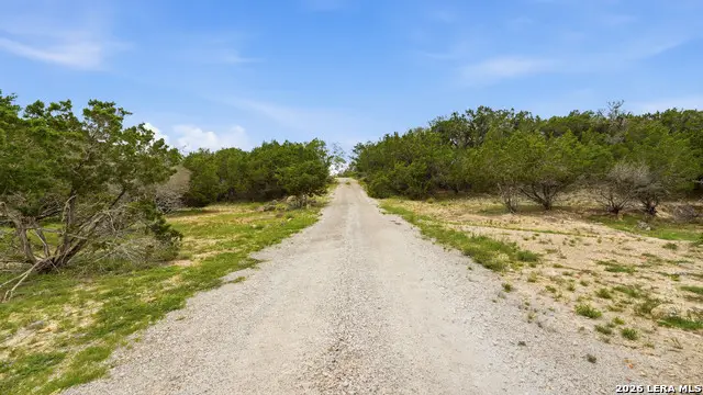 12521 Rebecca Creek Rd, Spring Branch, TX 78070 - #2