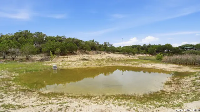 12521 Rebecca Creek Rd, Spring Branch, TX 78070 - #3