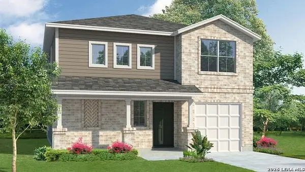 130 Laysan Albatross, San Antonio, TX 78253