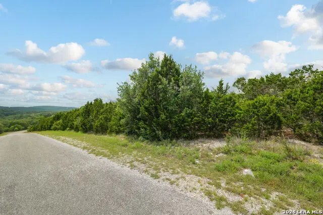 138 County Road 2765, Mico, TX 78056 - #3